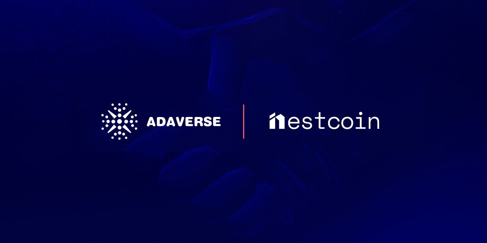 Cardano Accelerator, Adaverse Invests in Nestcoin to Catalyze Financial Inclusion in Africa